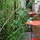 montelimar